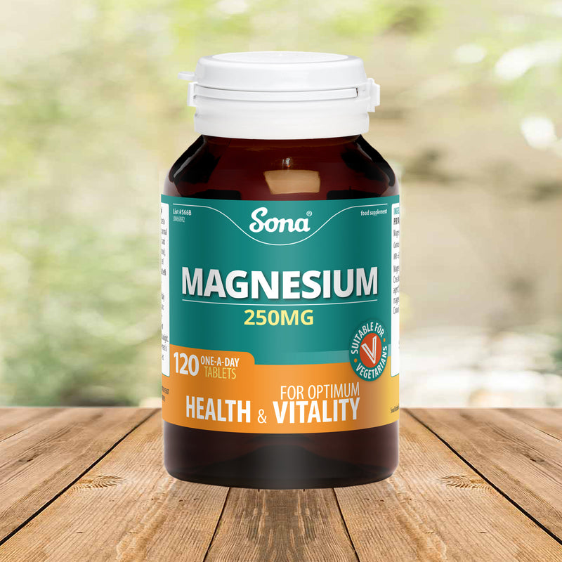 SONA MAGNESIUM 250MG ONE A DAY 120 TABS