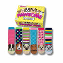 SOCK ACADEMY PAWSOM GIFTBOX - Cobh Pharmacy